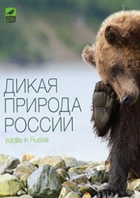 wildlife-russia